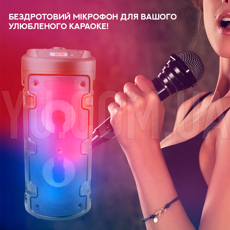 Автономна акустична система Soonbox S4405 Автономна акустична система Soonbox S4405